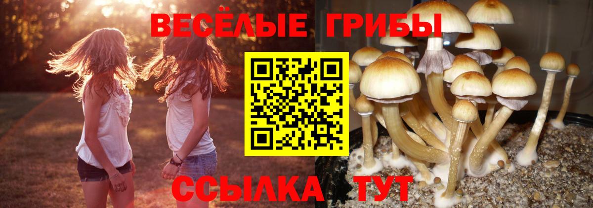 Псилоцибиновые грибы MAGIC MUSHROOMS Ливны